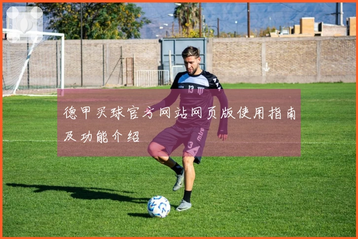 德甲买球官方网站网页版使用指南及功能介绍