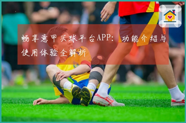 畅享意甲买球平台APP：功能介绍与使用体验全解析