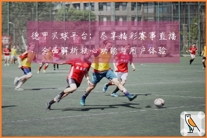 德甲买球平台：尽享精彩赛事直播，全面解析核心功能与用户体验